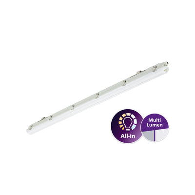 Philips WT065C luminaire étanche LED 30-53W 4000K 4100-6800 lumens IP65 IK08 1507mm Gris