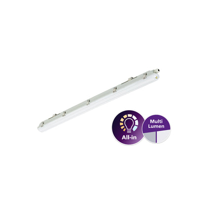Philips WT065C luminaire LED étanche IP65 IK08 23-42W 4000K 2900-4800 lumens 1207mm gris