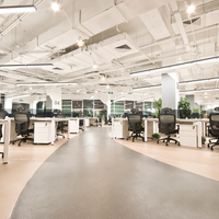 Philips MAS LEDtube HF T5 1500mm 36W 4000K Blanc Froid G5 5600 lumens 80CRI verre mat