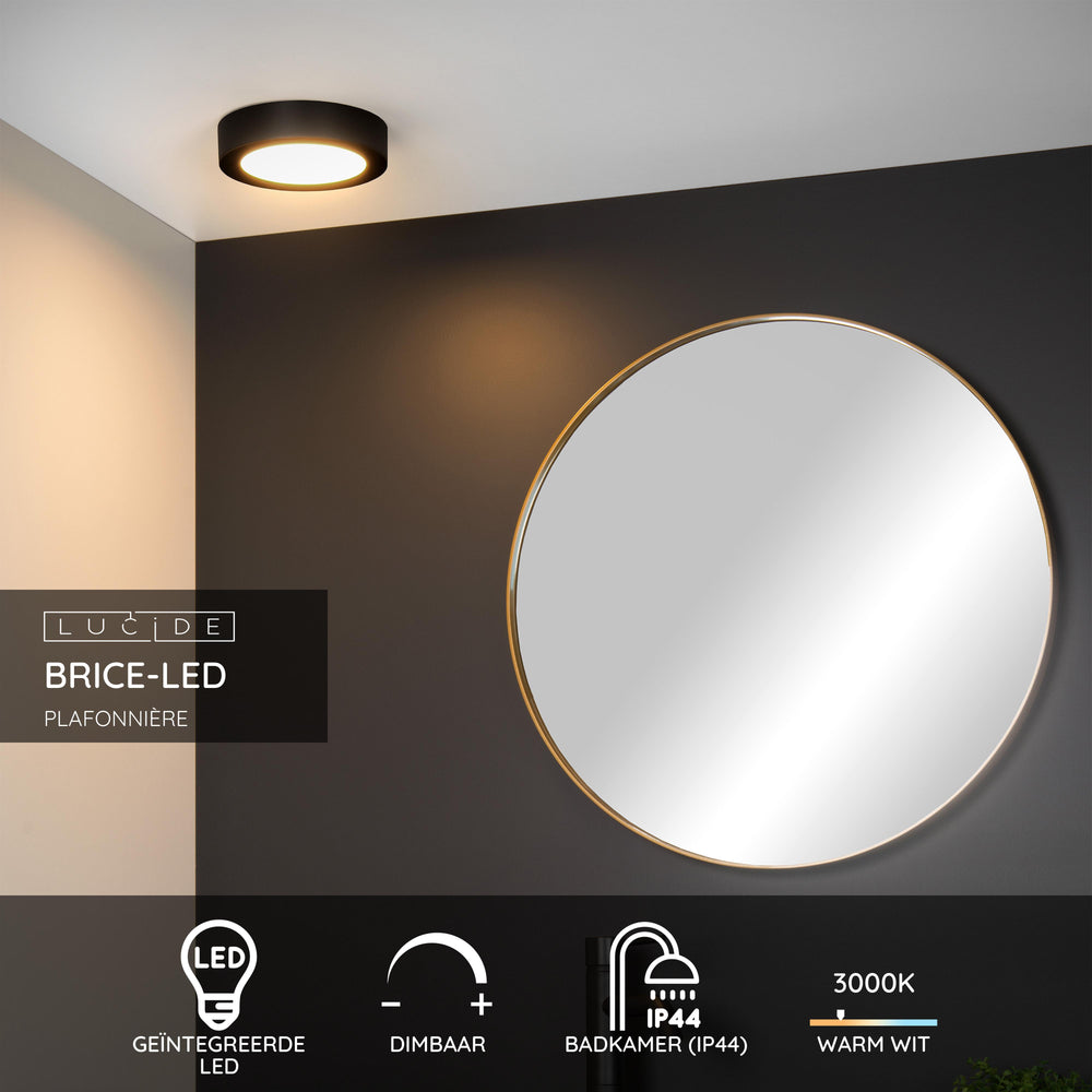 Lucide BRICE LED badkamer plafondlamp, 12W 3000K dimbaar, IP44 rond Zwart ⌀18cm