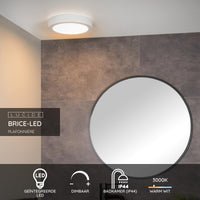 Lucide BRICE LED badkamer plafondlamp, dimbaar 15W 3000K, IP44 rond 24cm Wit modern design