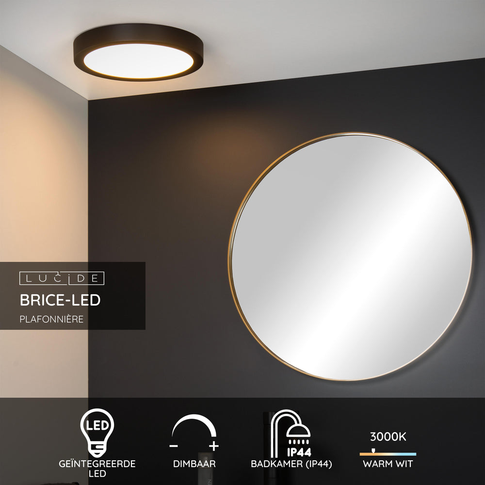 Lucide BRICE LED plafondlamp, 30W 3000K dimbaar, IP44 rond 30cm, Mat Zwart, moderne badkamerverlichting