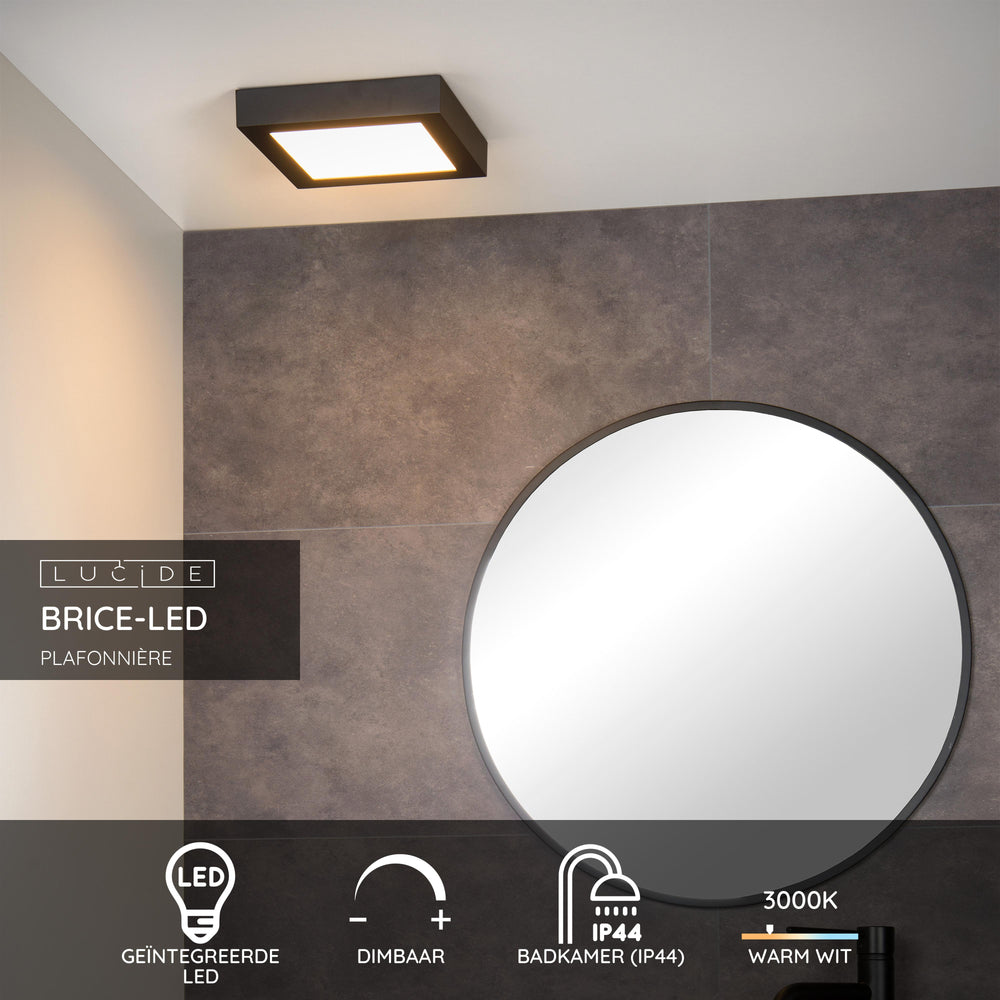 Lucide BRICE LED badkamer plafondlamp, dimbaar 22W 3000K IP44, vierkant 220mm Mat Zwart