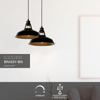 Lucide BRASSY-BIS hanglamp Zwart, 1xE27 fitting, verstelbare hoogte, ronde metalen kap Ø31cm, IP20