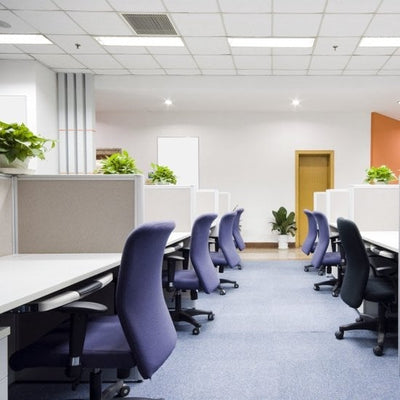 LCB LED Paneel 120x60cm Backlit ECO 60W 6600 lumen 6000K Daglicht Wit UGR22 Opaal Wit IP20