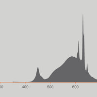 Ledvance LED Classic A60 Dépolie E27 Variable 3.8W 2700K 806 lumens Blanc Chaud Classe Énergétique A