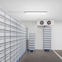 Philips WT060C réglette LED étanche 46W 6500K 5600 lumens 1500mm IP66 IK08 polycarbonate opale