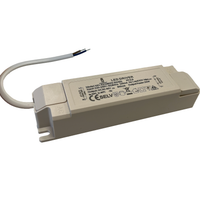 Tsong driver de panneau LED 40W 27-42V 1000mA non-dimmable, IP20 sans scintillement, certifié CE RoHS