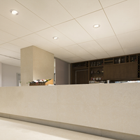 Philips CorePro LED PLL 12W 4000K 1500 lumens 2G11 Blanc Froid tube givré EM secteur