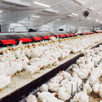 Philips CoreLine WT210C luminaire LED étanche, 39W 4000K 5000 lumens, IP68 IK10, boîtier en polycarbonate 1315mm