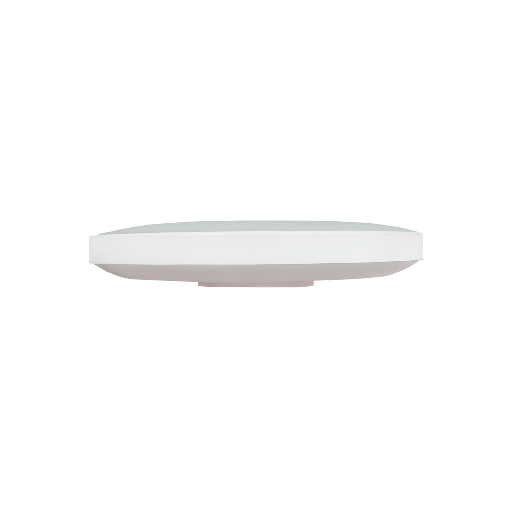 Plafonnier LED Spectrum NYMPHEA 24W 4000K 230V IP54 rond 320mm Blanc Noir montage en surface