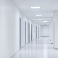 Spectrum algine LED-paneel backlight CCT 6000K 600x600mm wit, 48W met lumenstroom van 6300 voor kantoor en thuis