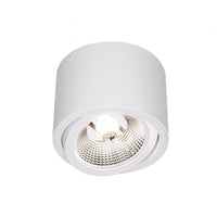 Chloe AR111 GU10 Blanc spot LED ajustable pour usage intérieur - Spectre IP20, 17000 heures de durabilité technologique