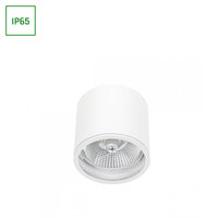 Chloe AR111 GU10 IP65 spot LED rond extérieur et intérieur lampe Spectrum boîtier blanc 17000 heures 250V 120-115 mm