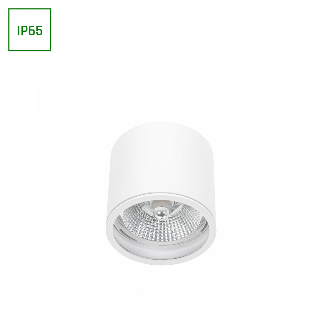Chloe AR111 GU10 IP65 spot LED rond extérieur et intérieur lampe Spectrum boîtier blanc 17000 heures 250V 120-115 mm