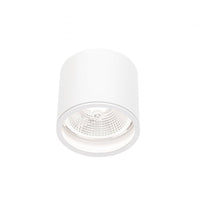 Chloe AR111 GU10 IP65 spot LED rond extérieur et intérieur lampe Spectrum boîtier blanc 17000 heures 250V 120-115 mm