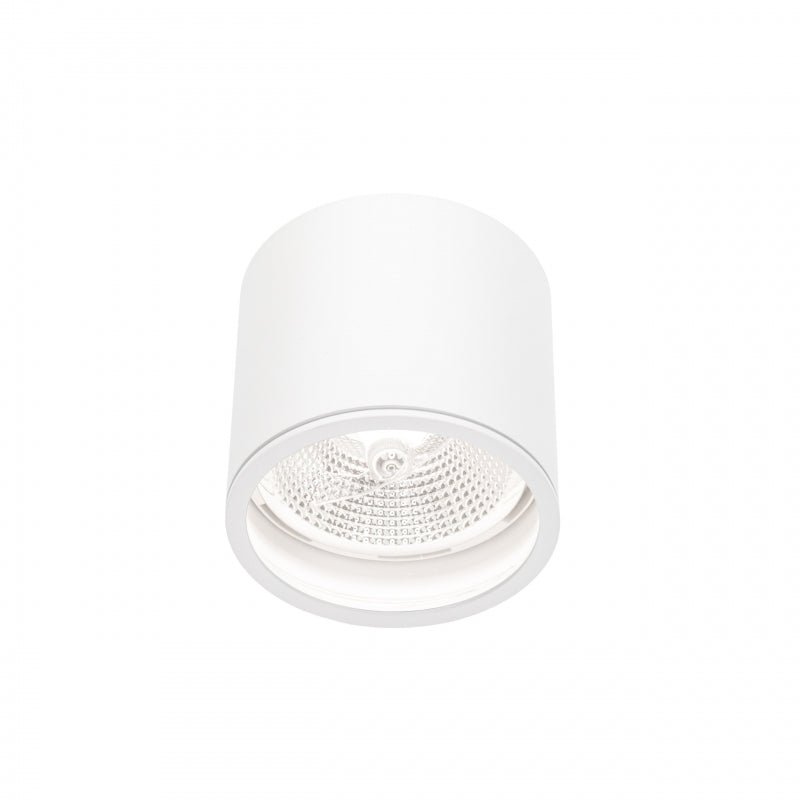 Chloe AR111 GU10 IP65 spot LED rond extérieur et intérieur lampe Spectrum boîtier blanc 17000 heures 250V 120-115 mm