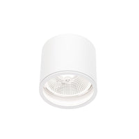 Chloe AR111 GU10 IP65 spot LED rond extérieur et intérieur lampe Spectrum boîtier blanc 17000 heures 250V 120-115 mm