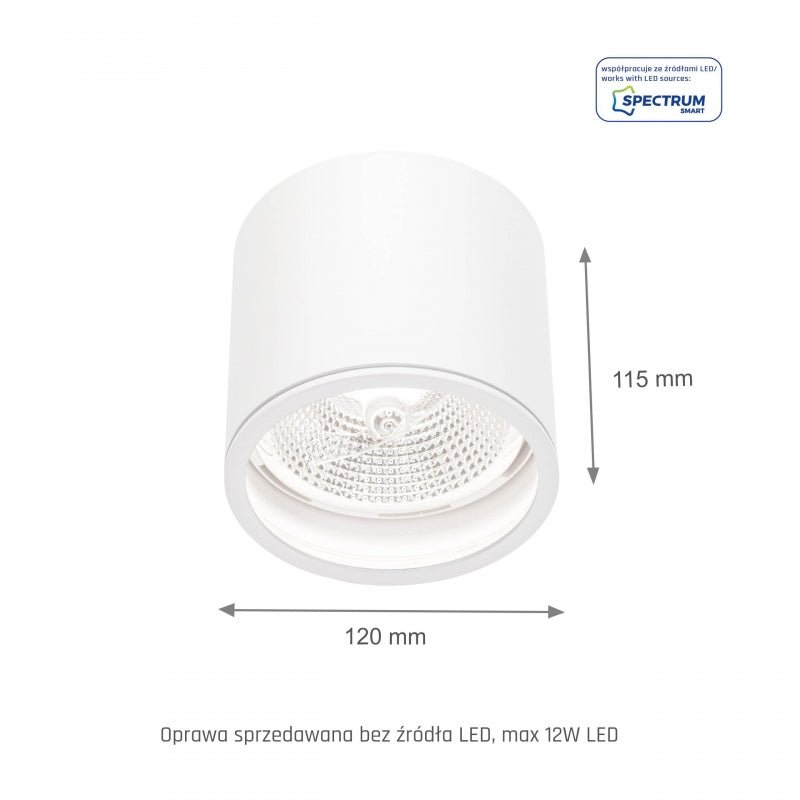 Chloe AR111 GU10 IP65 spot LED rond extérieur et intérieur lampe Spectrum boîtier blanc 17000 heures 250V 120-115 mm