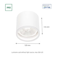 Chloe AR111 GU10 IP65 spot LED rond extérieur et intérieur lampe Spectrum boîtier blanc 17000 heures 250V 120-115 mm