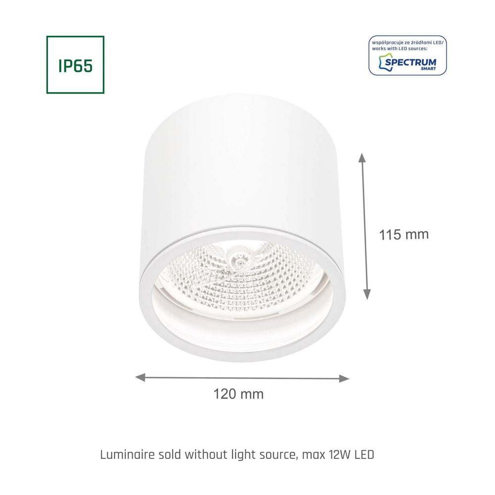 Chloe AR111 GU10 IP65 spot LED rond extérieur et intérieur lampe Spectrum boîtier blanc 17000 heures 250V 120-115 mm