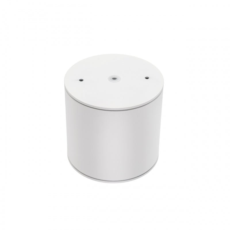 Chloe AR111 GU10 IP65 spot LED rond extérieur et intérieur lampe Spectrum boîtier blanc 17000 heures 250V 120-115 mm