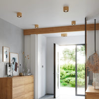 Spot LED plafond Sollux Lighting BASIC 2, bois naturel, IP20, 220-240V, max 50W, CE RoHS