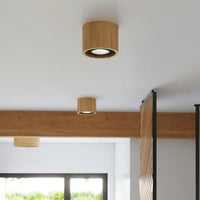 Spot LED plafond Sollux Lighting BASIC 2, bois naturel, IP20, 220-240V, max 50W, CE RoHS