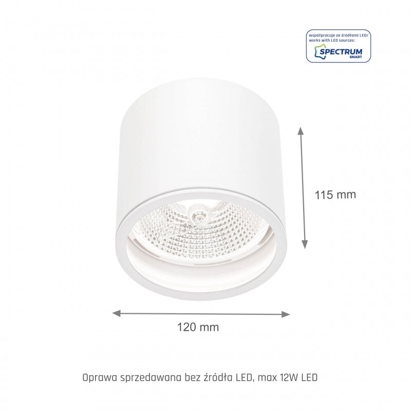 Spectrum CHLOE AR111 GU10 Plafonnier Encastré en Saillie IP65 Aluminium Blanc 250V Intérieur Extérieur